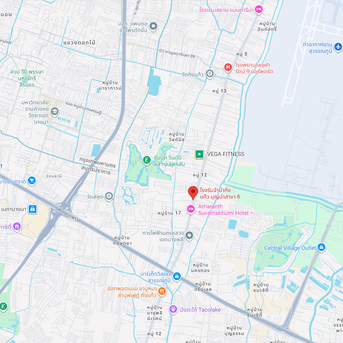 google_map_image